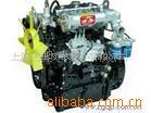 新昌柴油C490BPG发动机总成环保型发动机