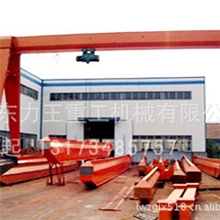 厂家供应力王起重机MH龙门吊门式起重机加工起重机中国名牌