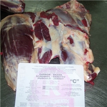 全套代理进口阿根廷1399厂牛腱子