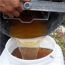 荆条花蜂蜜纯天然蜂蜜