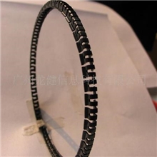 SCANIA,斯堪尼亚活塞环