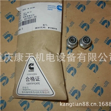 纯正康明斯整机配件3627697阳性弯接头