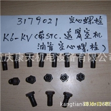 纯正康明斯整机配件3179021螺栓