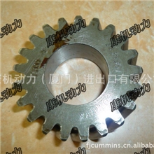 供应康明斯配件M11进口淡水泵齿轮3038991