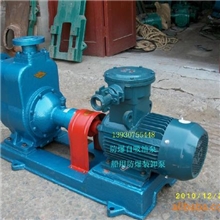 供应甲醇/酒精/汽油专用石化防爆自吸泵25CYZ-27