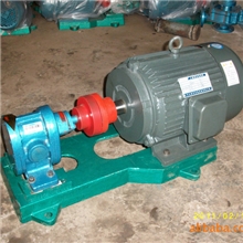 供应泊头齿轮油泵/2CY齿轮泵/泊头油泵