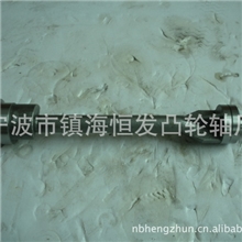 供应福特发动机平衡轴（Ford）