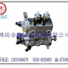 潍柴蓝擎电喷WP12潍坊柴油机配件