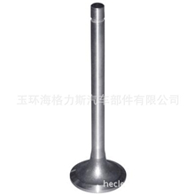 大众VM80A0.6D柴油气门