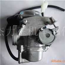 化油器五羊100公主100