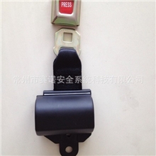 供应自锁两点汽车捆绑带|拉紧器|收紧器|汽车安全带