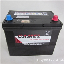 批发正品骆驼.6-QW-60免维护蓄电池,12V60AH汽车电瓶