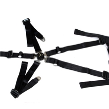 供应国标五点式汽车安全带