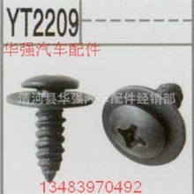 装饰扣/尼龙扣批发/卡扣销售汽车配件铁片系列铁螺丝2209