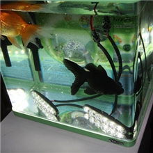 厂家直销汽车小鱼叉日行灯高亮12W日行灯辅照灯昼夜灯