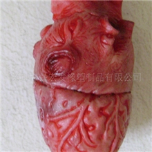 99供应PU心脏.PU眼睛.PU耳朵..PU肾PU胃PU肝