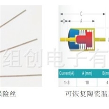 温度保险丝可恢复陶瓷温度保险丝.防爆高压温度保险丝