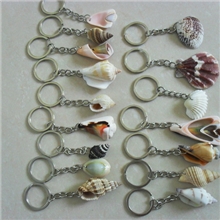 海螺手机挂件批发钥匙扣挂件批发新时尚手机挂件贝壳挂件