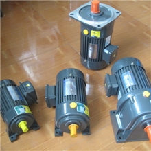 CH28-60S-400W楠江齿轮减速电机