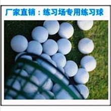 生产厂家高尔夫球GOLF高尔夫练习球双层空白