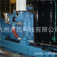 供应奔驰12V183TB32柴油发电机配件嘉善奔驰发电机组维修保养