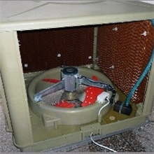 供应冷风机，冷风机电机，环保空调，家用机，各类新款移动机