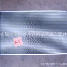 厂家直销奔驰w203CL203S203双门跑车汽车水箱散热器奔驰配件