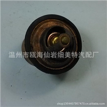 汽车节温器AUTOTHERMOSTATT8030