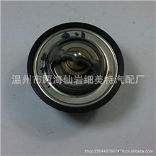 汽车节温器AUTOTHERMOSTATT8009