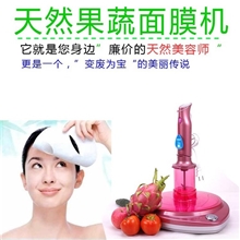 广州淼森工厂特价直批韩式果蔬面膜机美容护理器
