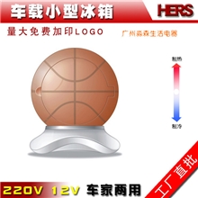 广州淼森电器可爱型半导体家用车载两用冷热双制迷你小型冰箱
