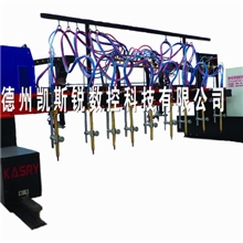 厂家直销山东德州凯斯锐精细龙门式切割机