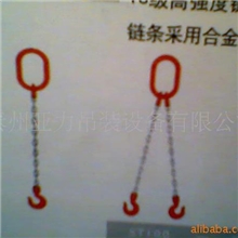 供应组合链条吊具(图)