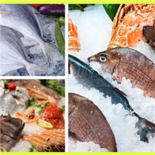 广州厂家供应大型板冰片冰制冰机工业用制冰机渔业用制冰机