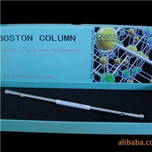 BostonSAX强阴离子柱