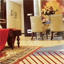 安邦促销电地暖智能远程控制地暖地板电地暖采暖系统