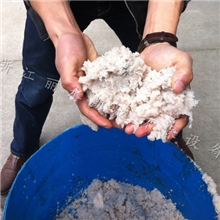 卧螺离心机污泥脱水机高效环保