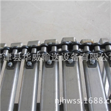 供应铁氟龙网带输送机链板/网带生产商宁津华威