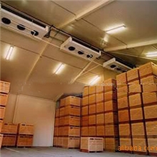 量身订做冷库食品保鲜库医药冷藏库工业用冷库双温冷库