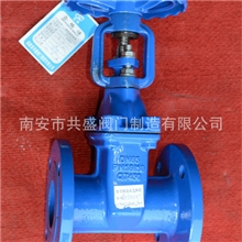 高品质软密封闸阀弹性明杆座封闸阀明杆闸阀球墨铸铁闸阀Z41X