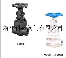 丝口截止阀螺纹截止阀NPTSWBWAPI602