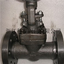 阀门整体法兰阀门一体式阀门锻钢阀门A105304316347F5