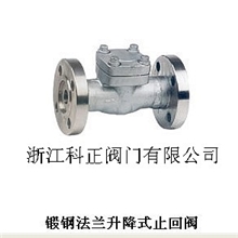 止回阀升降式止回阀阀门A105F11F22F5RF