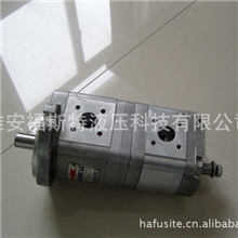 专业生产供应CBK系列高压齿轮泵防爆齿轮泵油泵