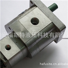 江苏厂家供应CBWL系列精密齿轮泵电动双联泵