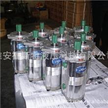 齿轮泵厂家供应高压防爆CBT齿轮泵高压双联泵