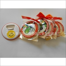 专业生产冰箱贴礼品创意家居礼品