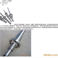 供应轧制滚珠丝杆2005