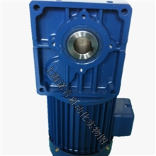 专业热销东力电机蜗轮减速电机轴上型减速电机TL4060