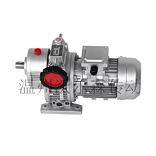 变速器卧式变速器优质卧式变速器批发优质卧式变速器